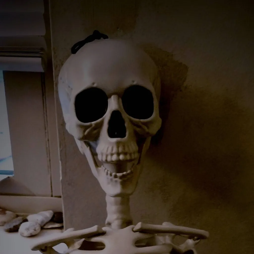 chat with ai character: Skelly
