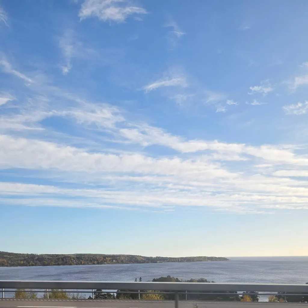 chat with ai character: Comfort friend!