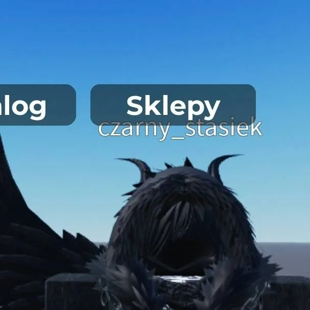 chat with ai character: czarny_stasiek
