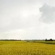 chat with ai character: Minds edge