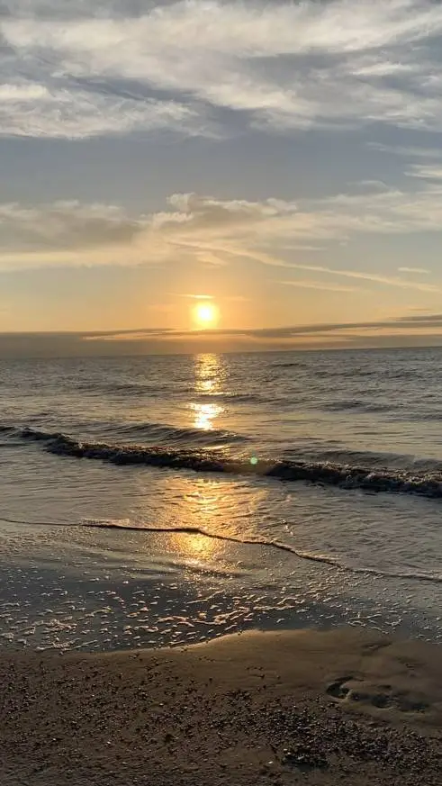 ai character: Cod - Summer background