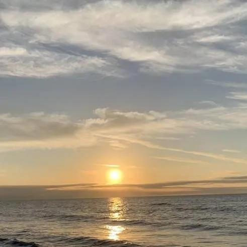 chat with ai character: Cod - Summer