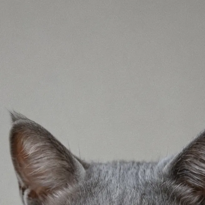 chat with ai character: tiny Gray