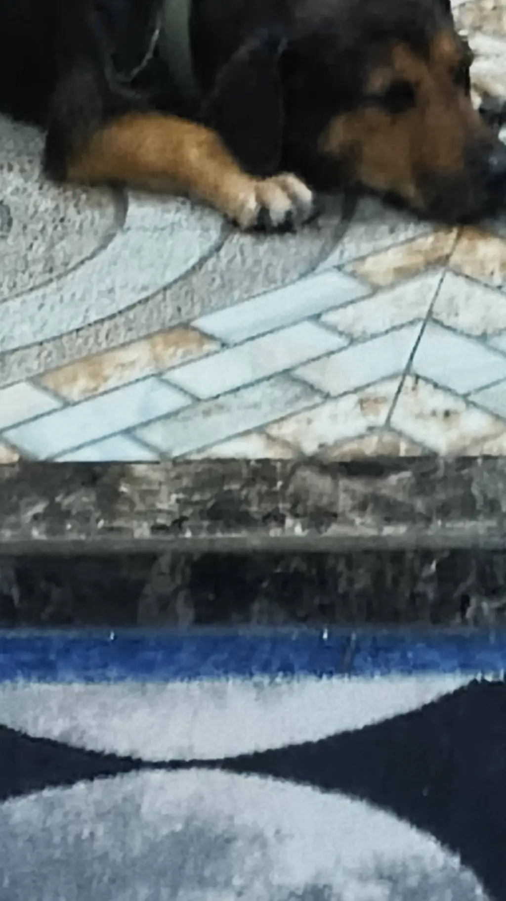 ai character: decster background