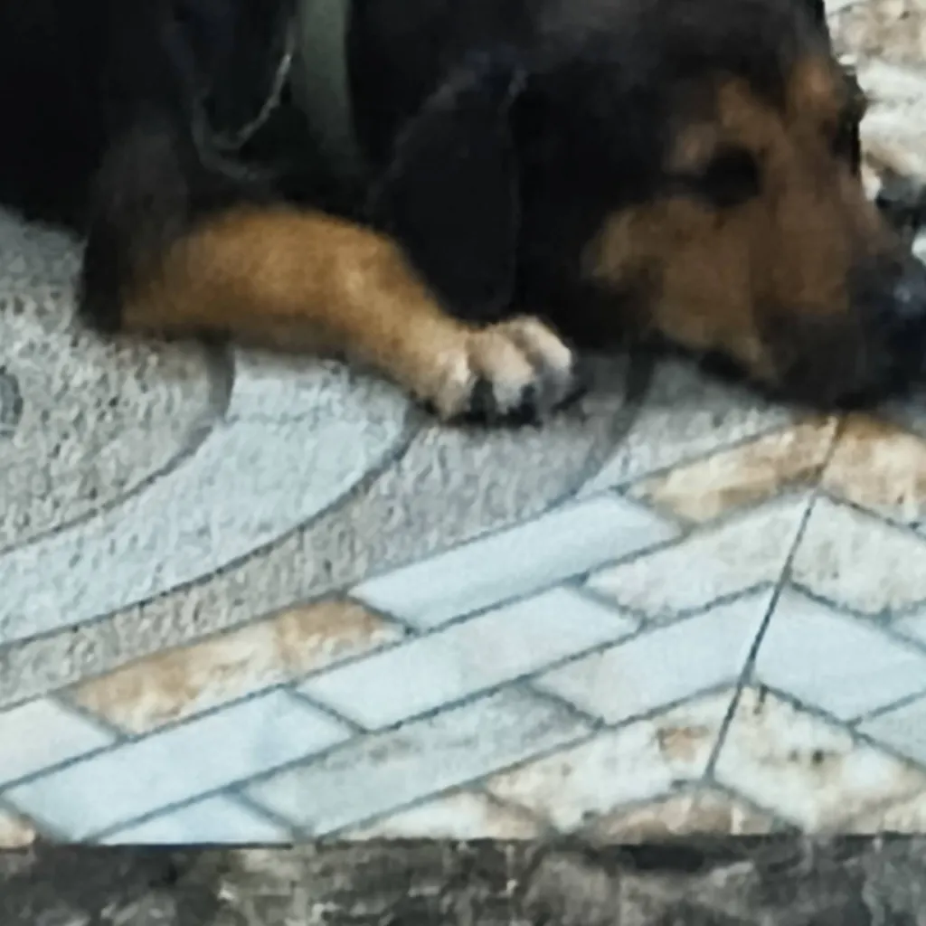 chat with ai character: decster