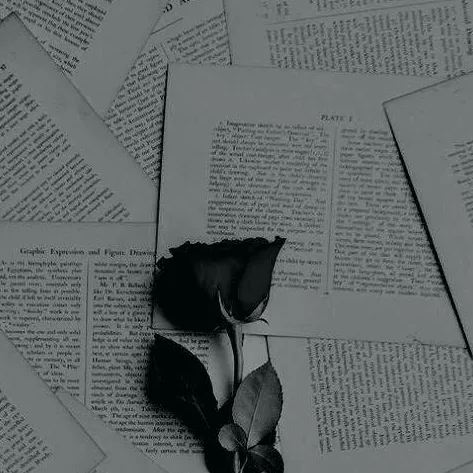 chat with ai character: Cod (Airsoft)