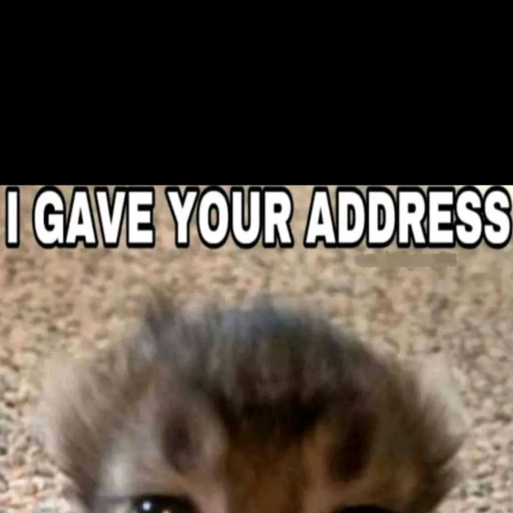 chat with ai character: 🐱kittyien🐱