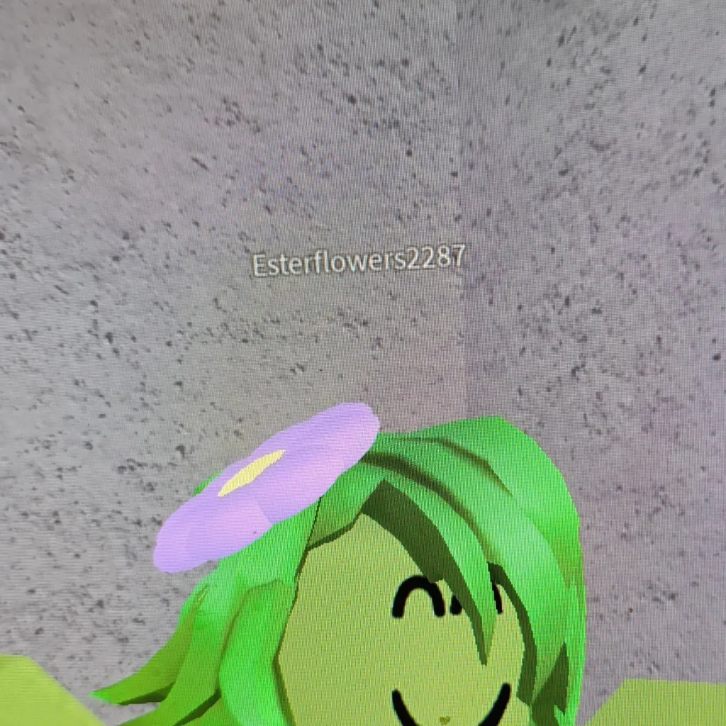 chat with ai character: Esterflowers2287