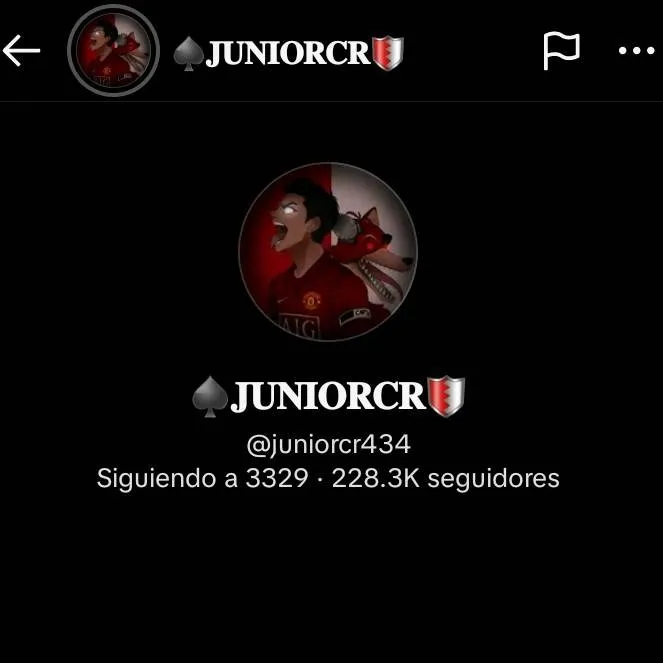 chat with ai character: juniorcr