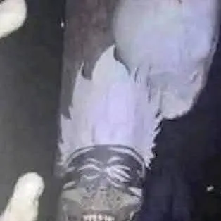 chat with ai character: idiot gojo