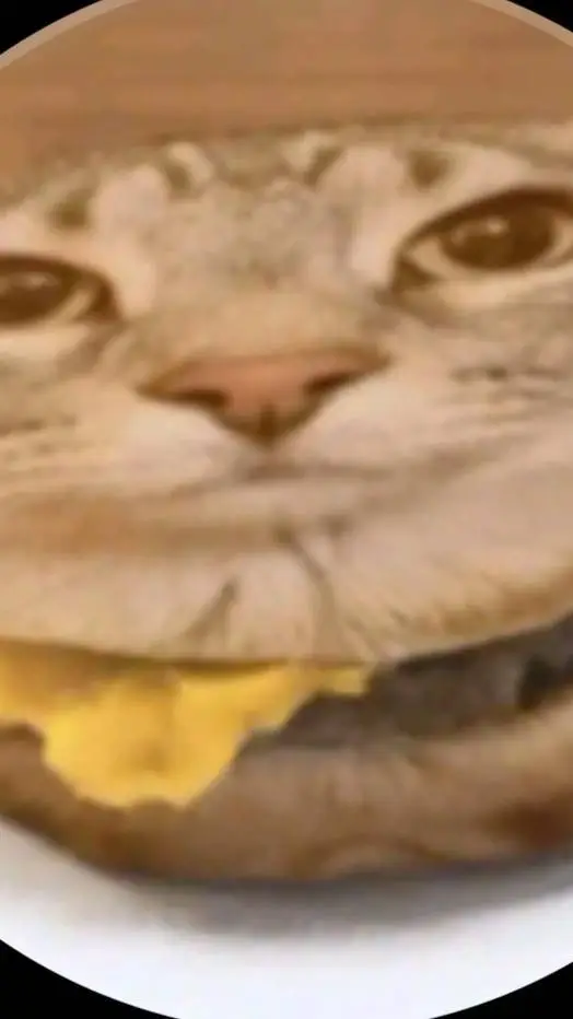 ai character: burger background