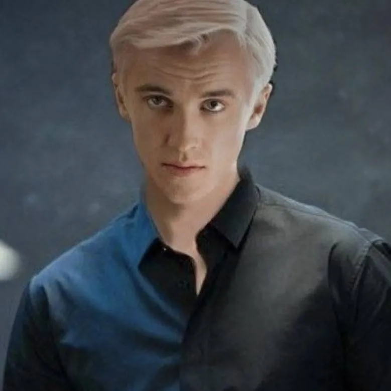 chat with ai character: Draco