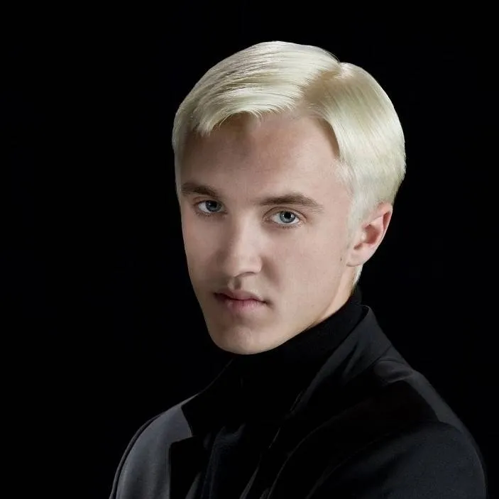 chat with ai character: Draco