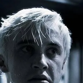 chat with ai character: Draco