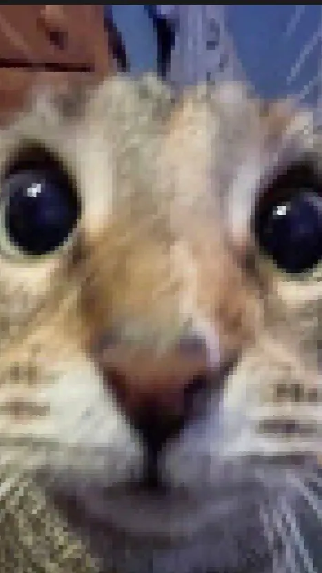 ai character: Zombie wave 1-25 background