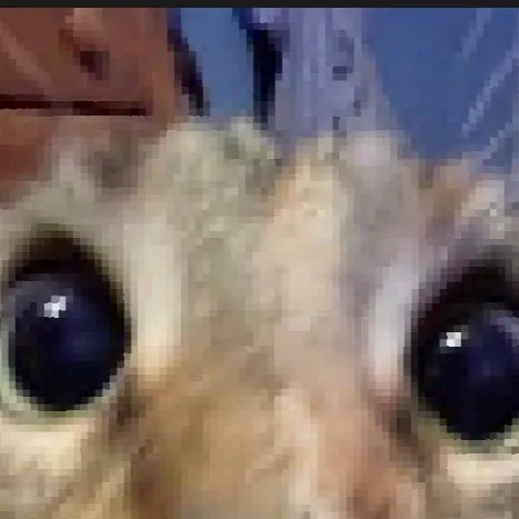 chat with ai character: Zombie wave 1-25