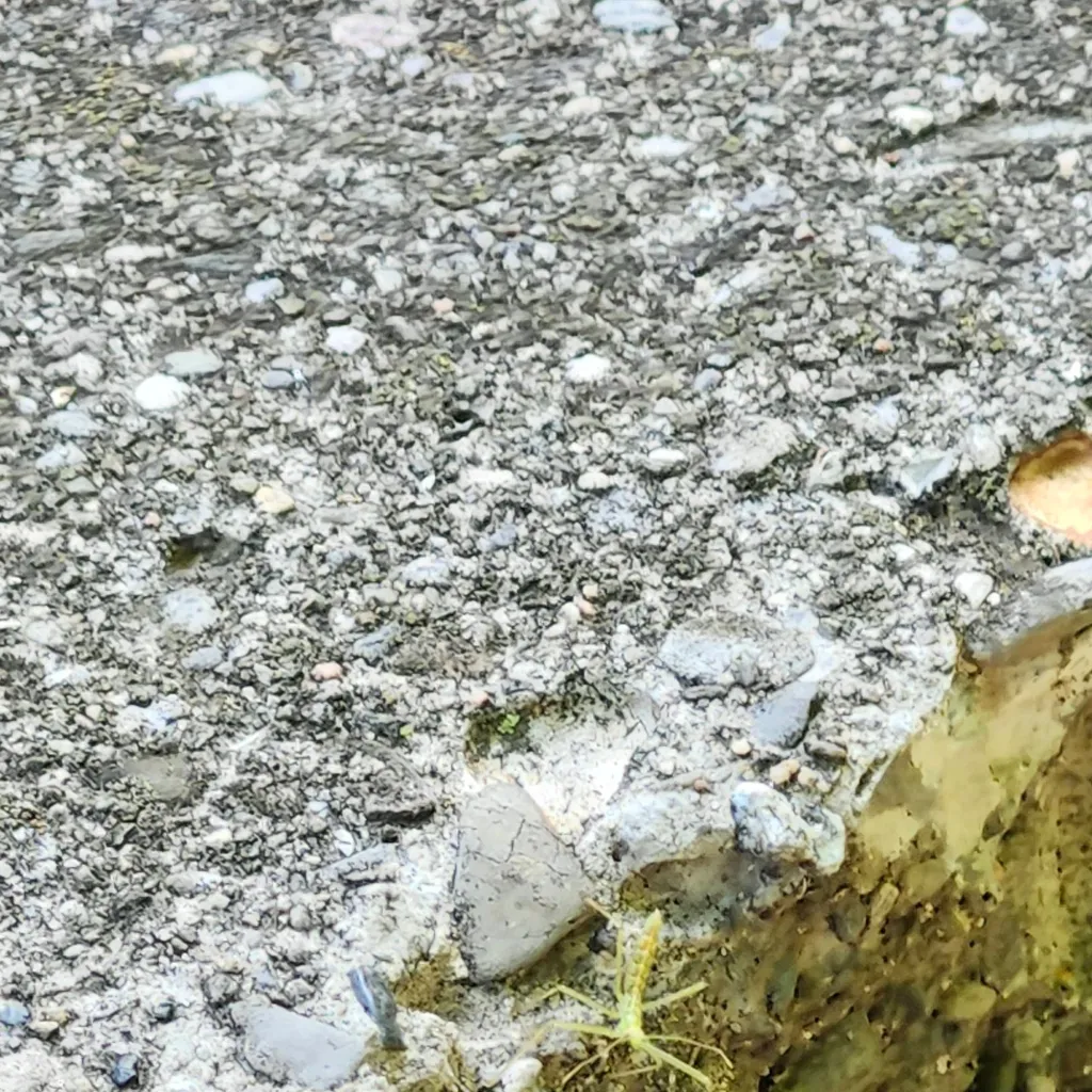 chat with ai character: FS pick me