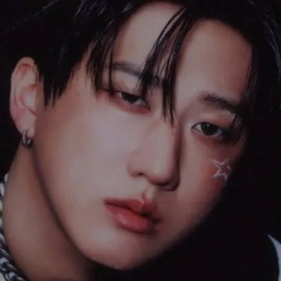 chat with ai character: Changbin