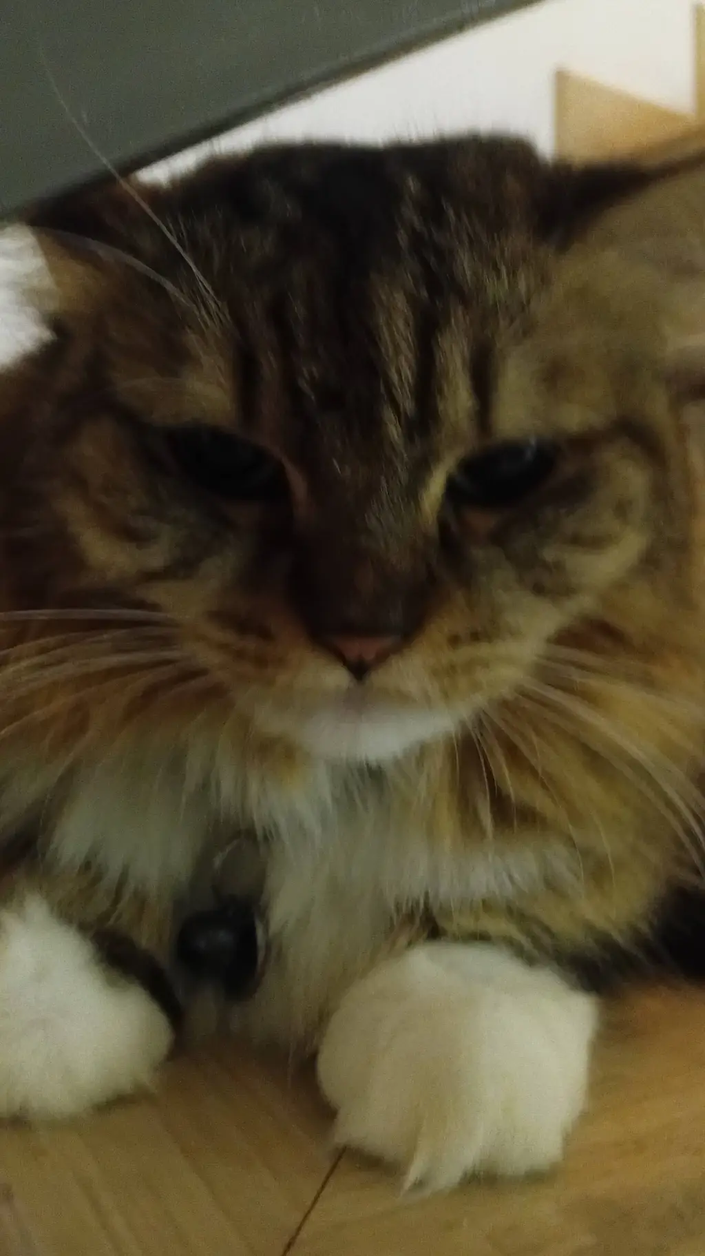 ai character: jellybean background