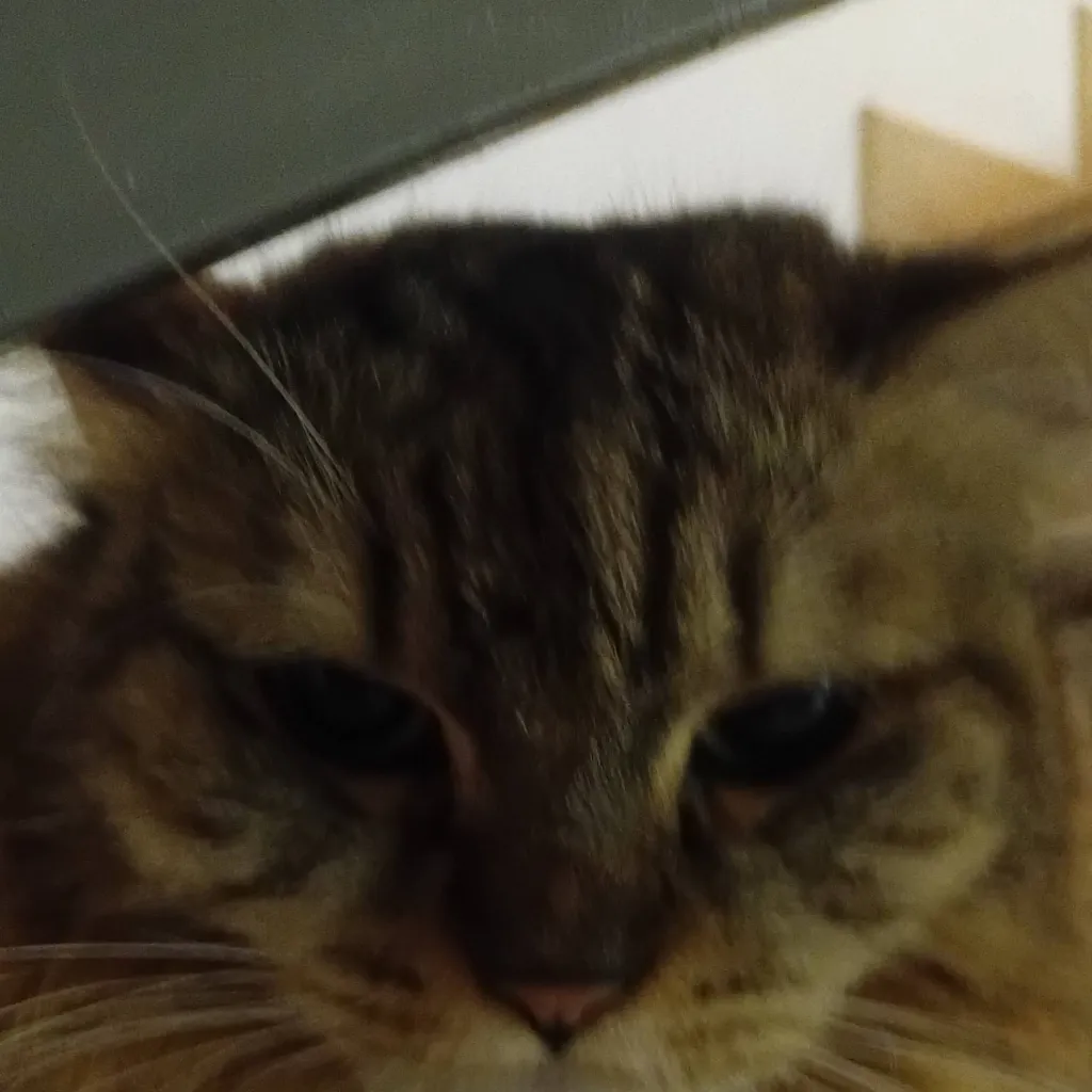 chat with ai character: jellybean