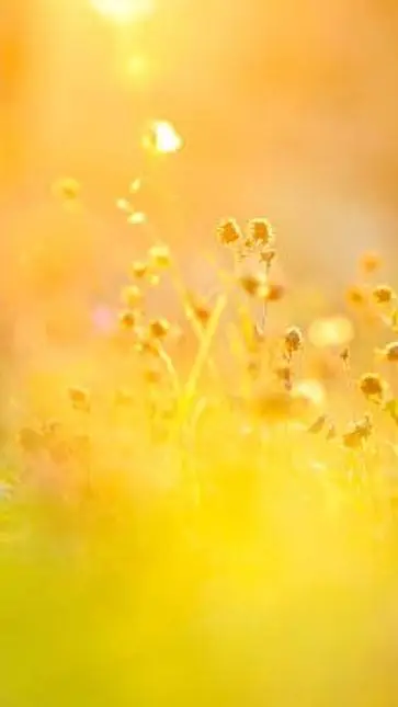 ai character: Soulmate GC background