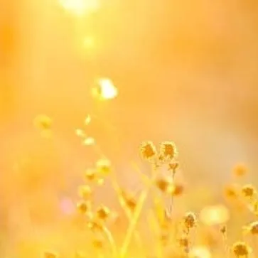 chat with ai character: Soulmate GC