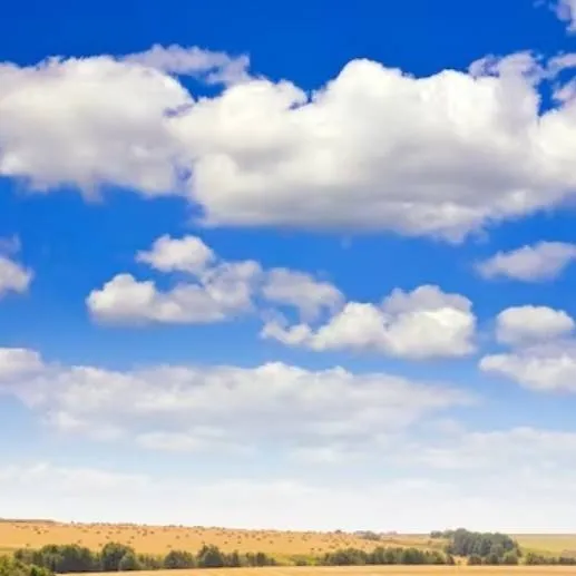 chat with ai character: Campo