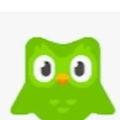 chat with ai character: Duolingo 