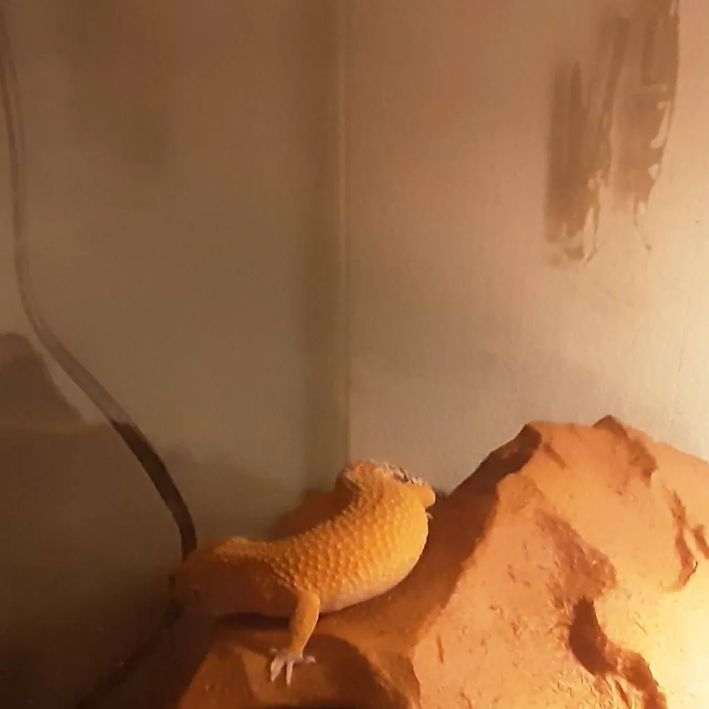 chat with ai character: Lexi