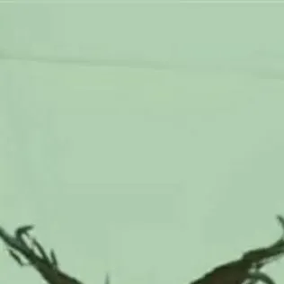 chat with ai character: Johnnie Guilbert