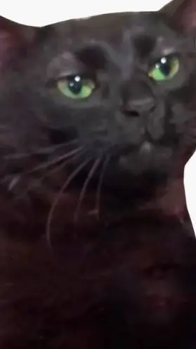 ai character: ✨ forsaken pick me background