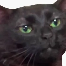 chat with ai character: ✨ forsaken pick me