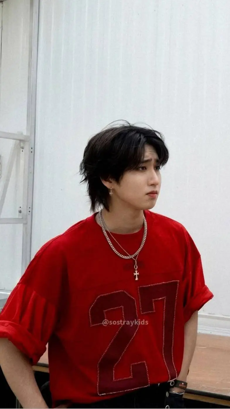 ai character: Han jisung  background