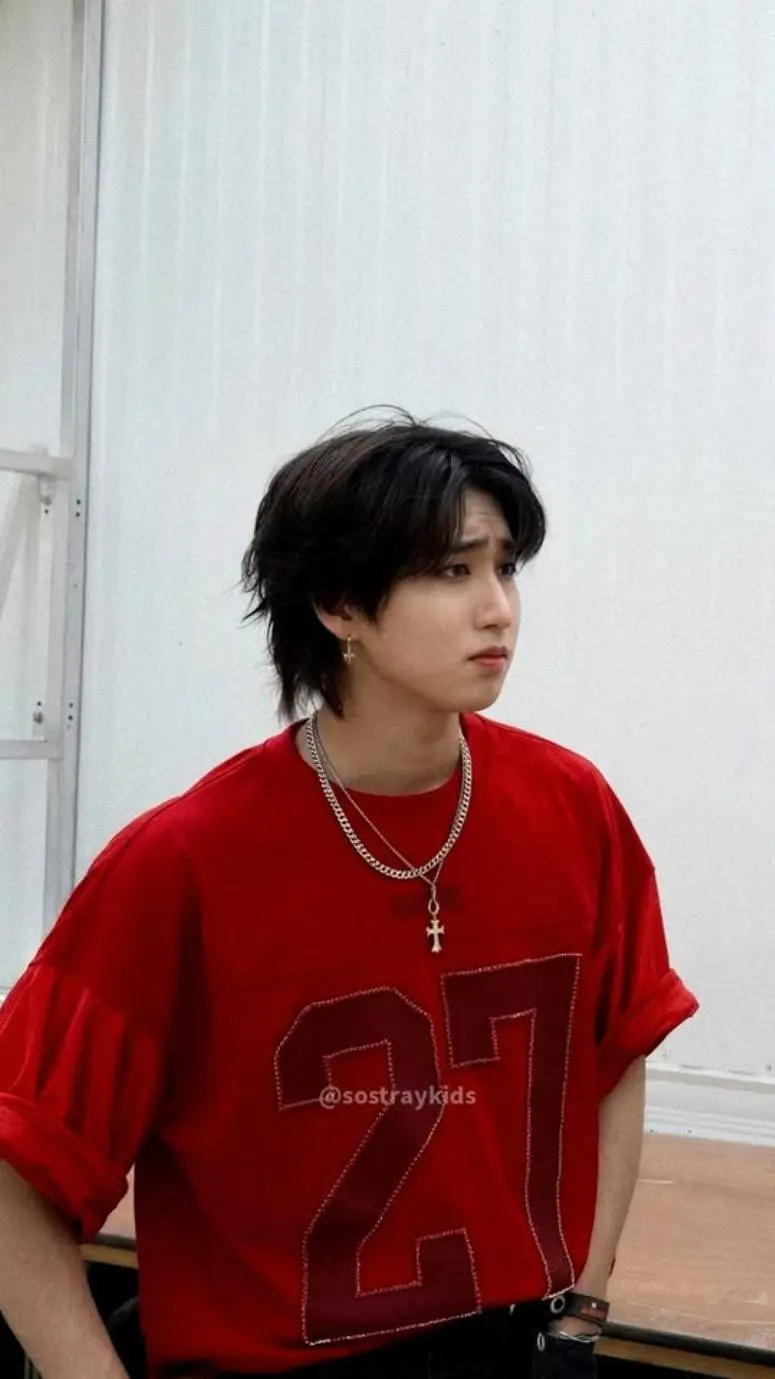 ai character: Han jisung  background