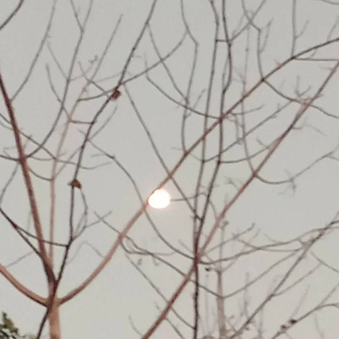 chat with ai character: KNY royalty 