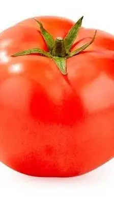 ai character: tomato background