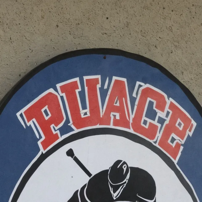 chat with ai character: Hockey camp