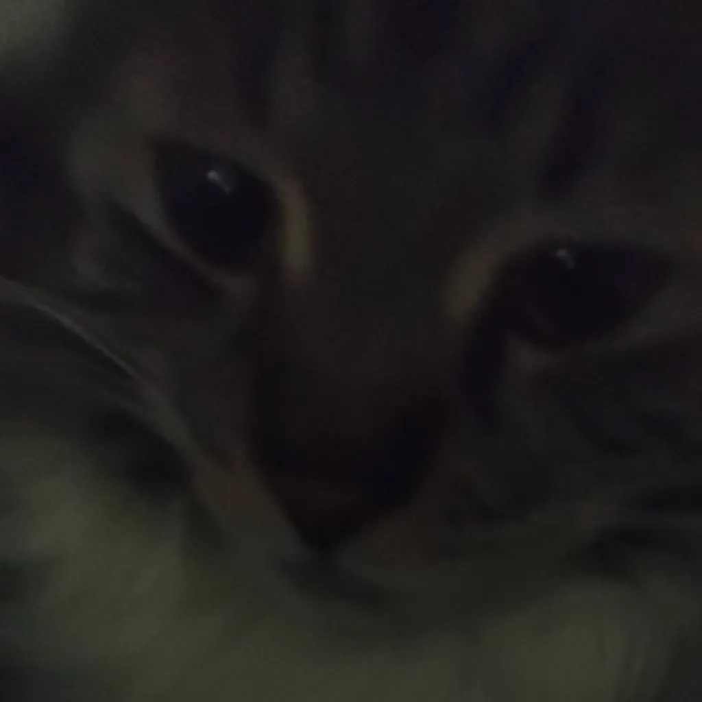 chat with ai character: ju:3 cat