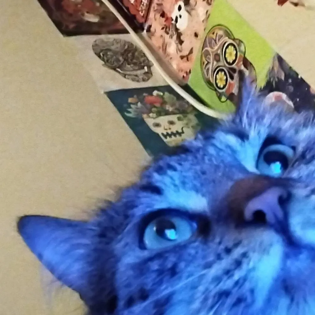 chat with ai character: ju:3 cat again