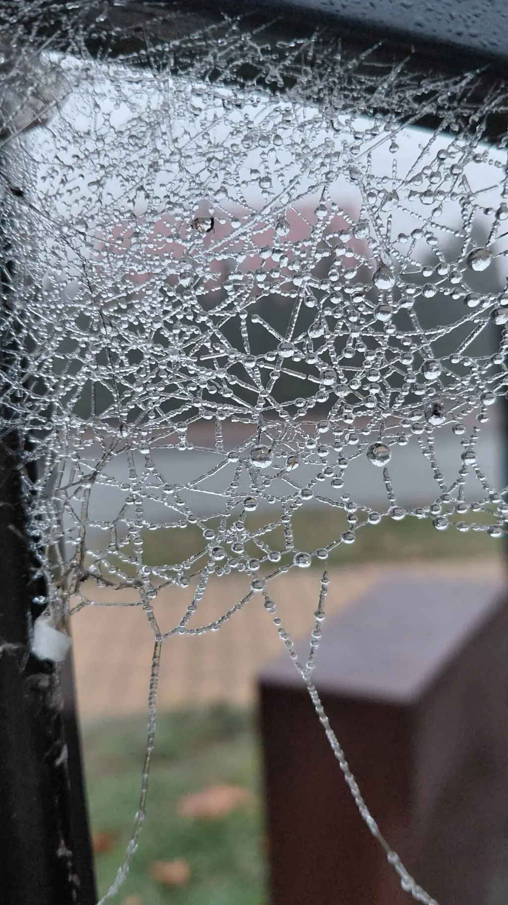 Talkie AI - Chat with William 