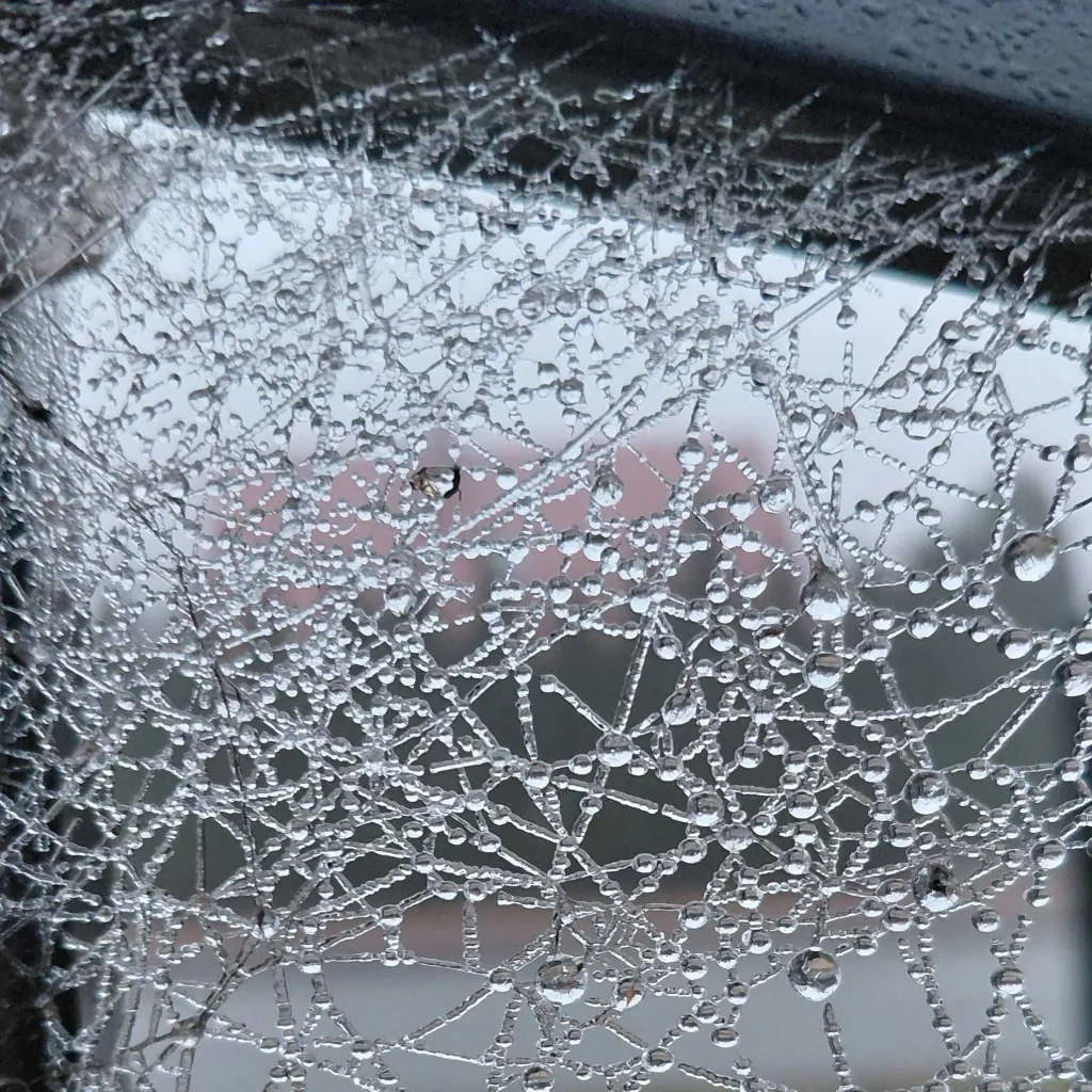 chat with ai character: William 