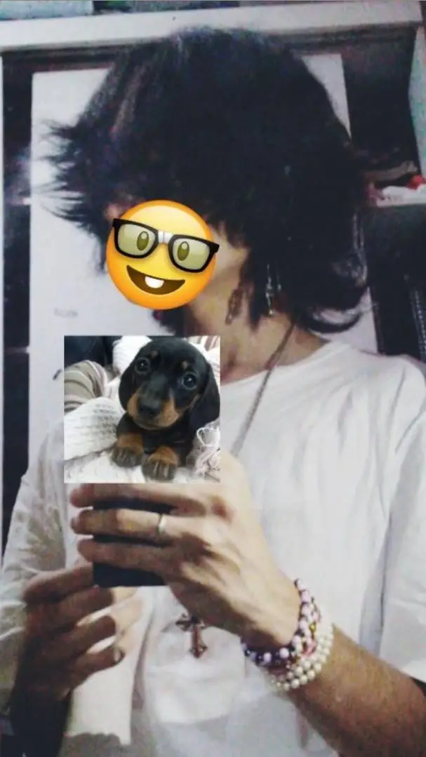 Talkie AI - Chat with ♪☆°★alex★°☆♪