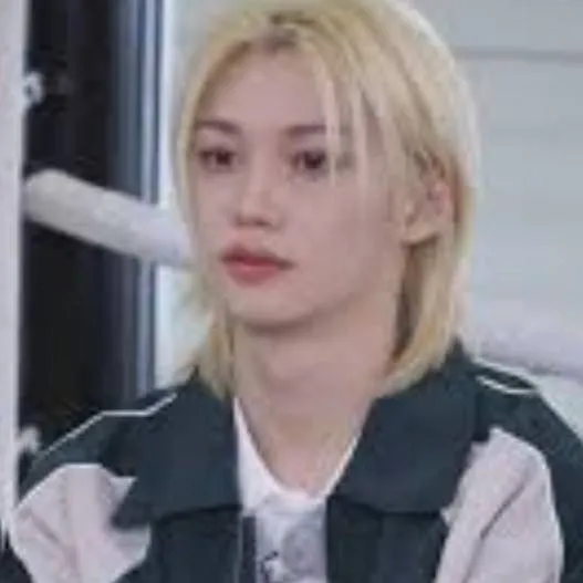 chat with ai character: skz theme park