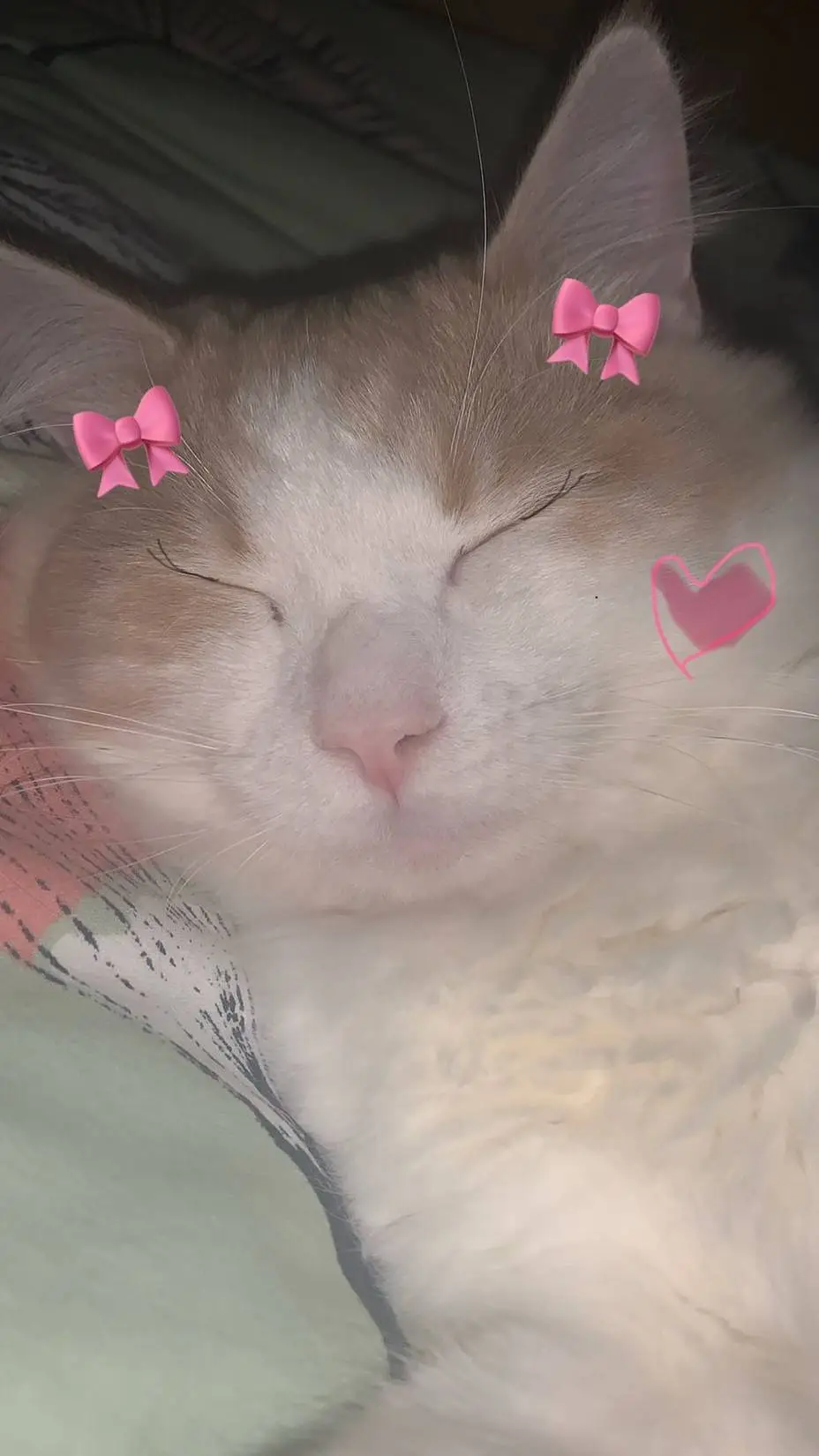 ai character: Lia background