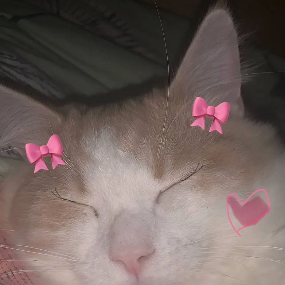 chat with ai character: Lia