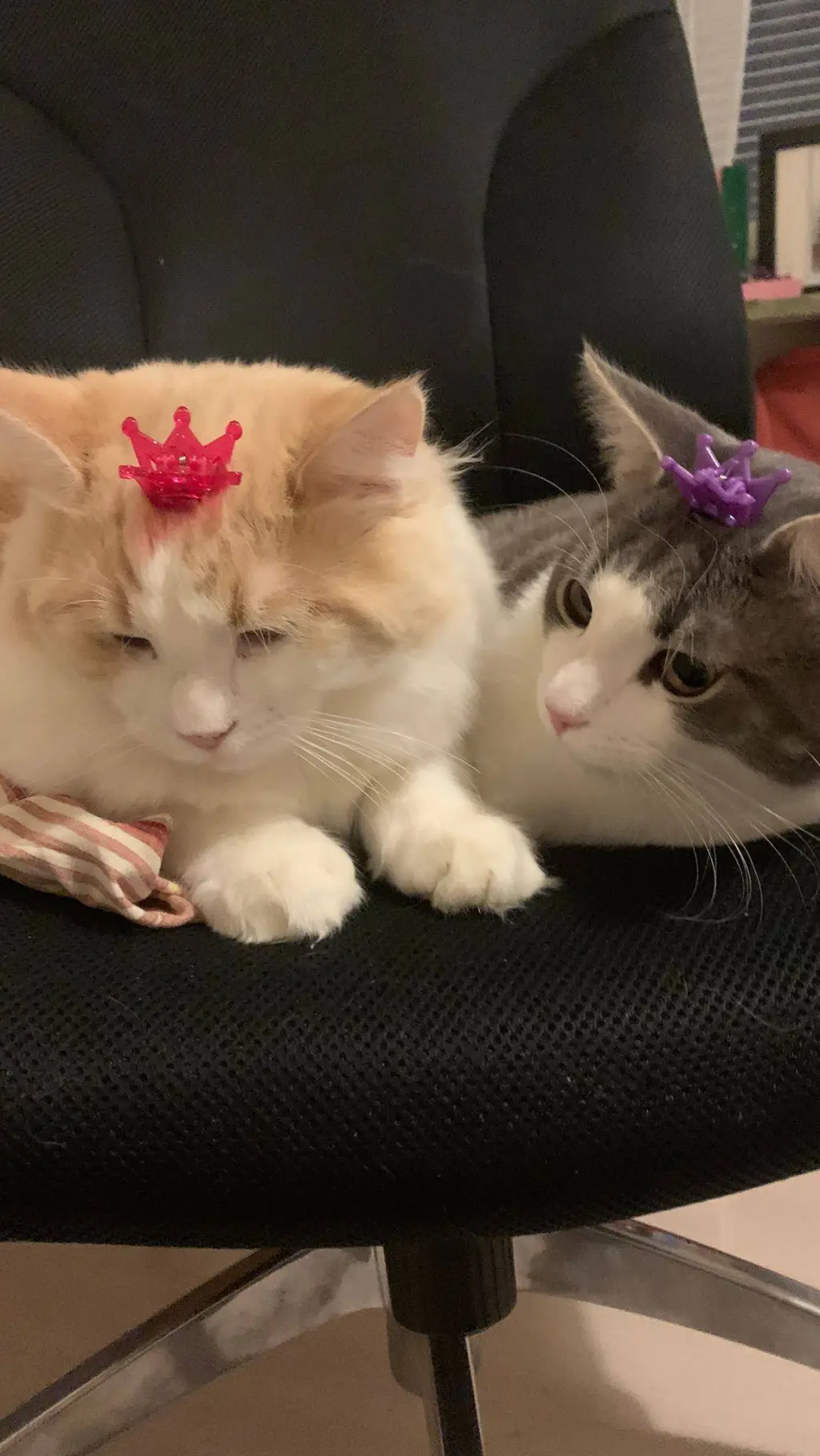 ai character: Only mine/bara min background