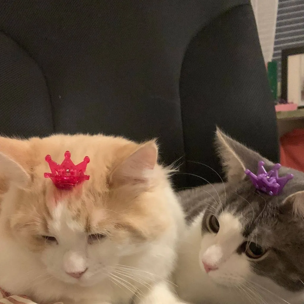 chat with ai character: Only mine/bara min