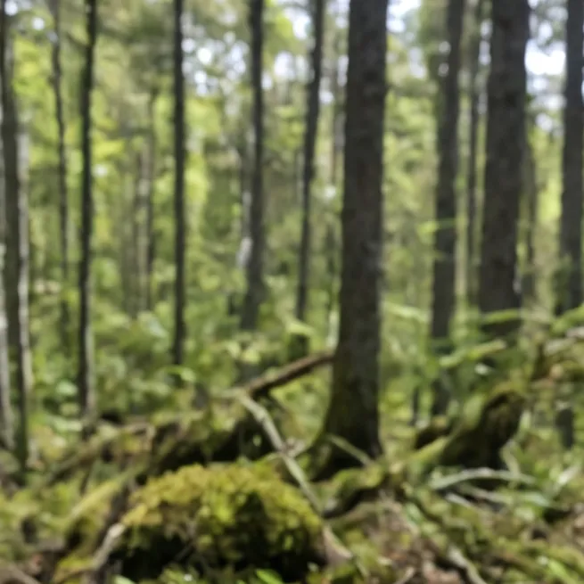 chat with ai character: Plant Trap