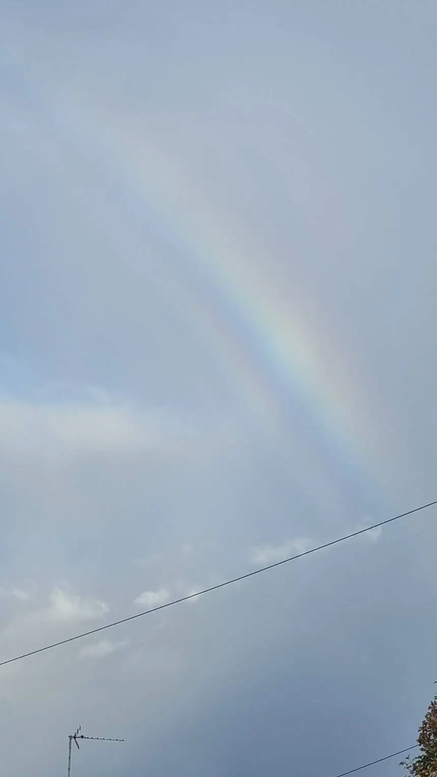 ai character: MHA Christmas! background