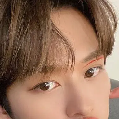 chat with ai character: Skz(Leeknow/Minho)